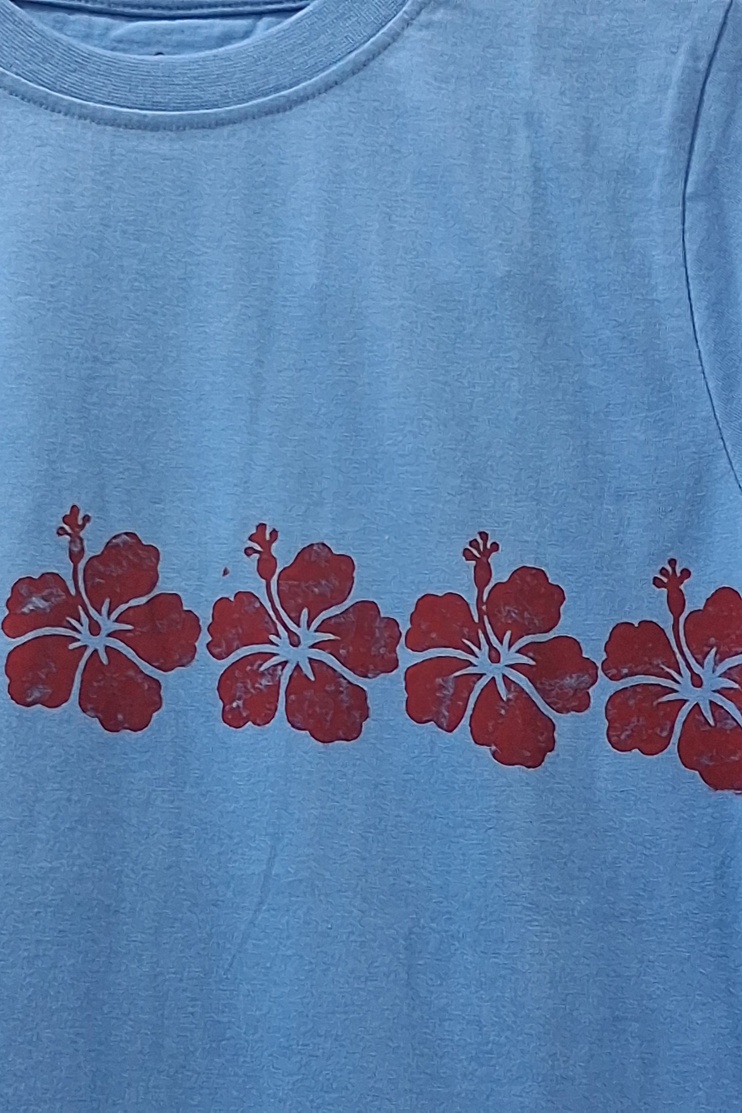 Hibiscus